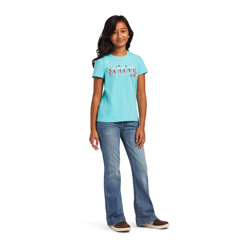 Ariat Real Cactus Tee Amazonite Polska | HUKWOT-659