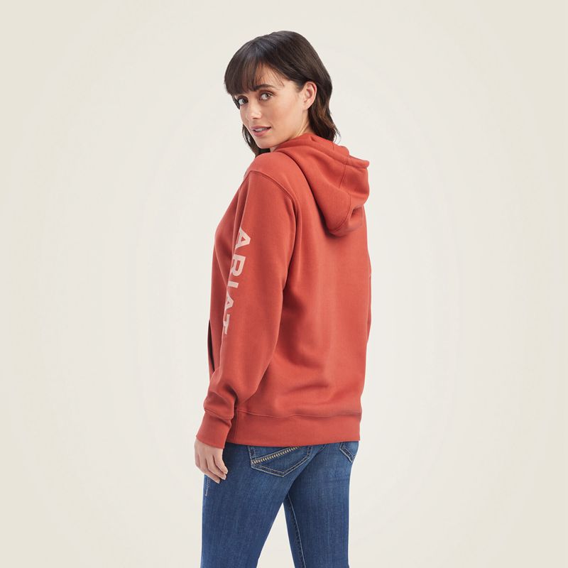 Ariat Real Classic Arm Logo Hoodie Bossa Nova Polska | YNXSDK-908