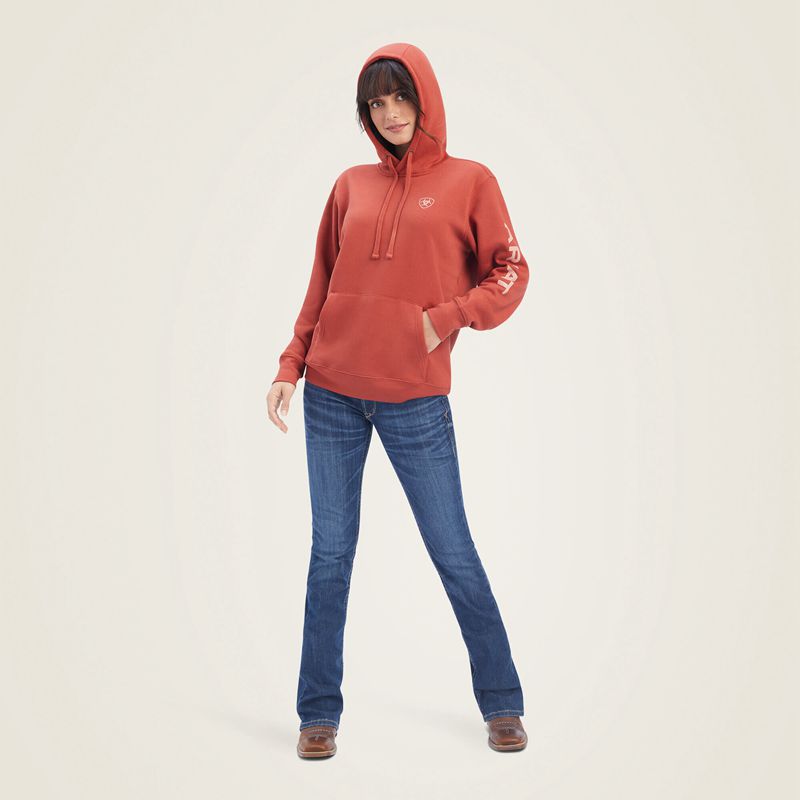 Ariat Real Classic Arm Logo Hoodie Bossa Nova Polska | YNXSDK-908