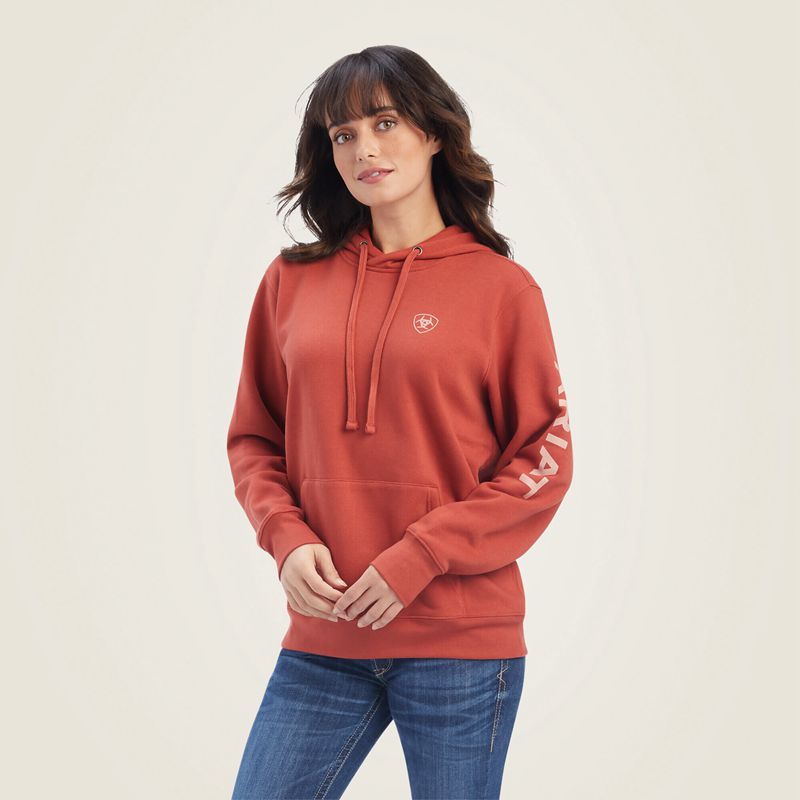 Ariat Real Classic Arm Logo Hoodie Bossa Nova Polska | YNXSDK-908