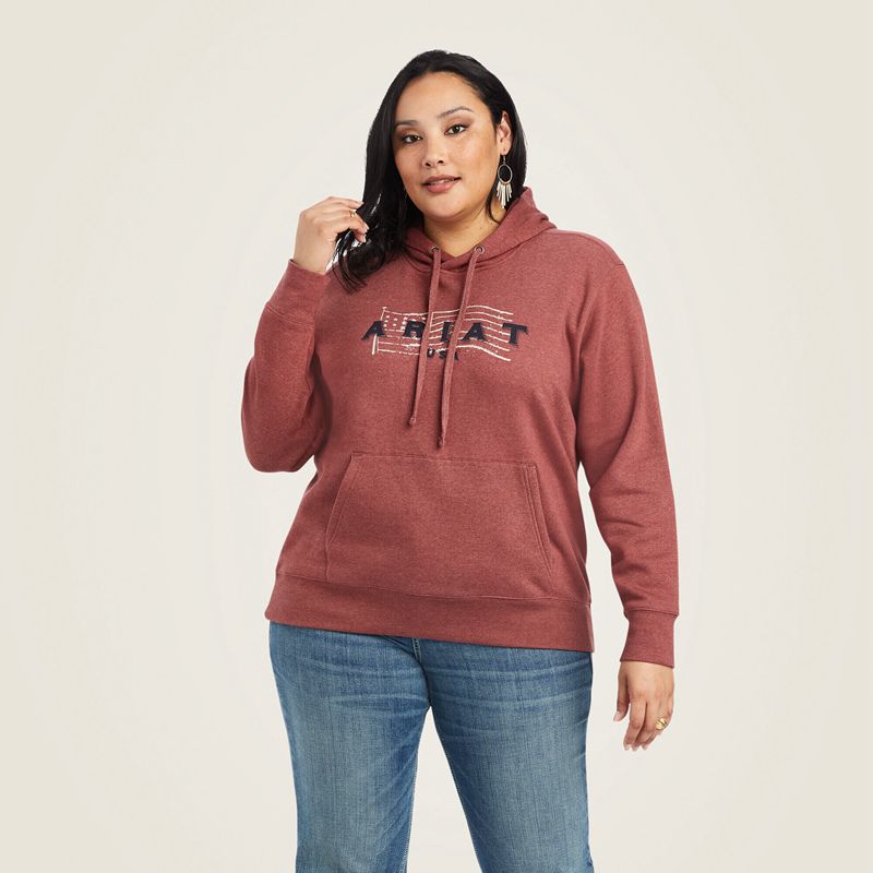 Ariat Real Usa Chest Logo Hoodie Sun-Dried Tomato Heather Polska | RWEQCN-671