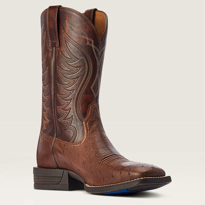 Ariat Reckoning Western Boot Ciemny Polska | SWOGMF-627