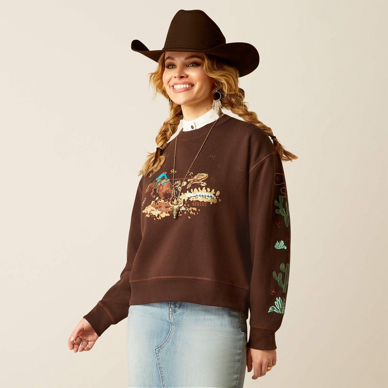 Ariat Riata Sweatshirt Mole Polska | VBPTRF-129