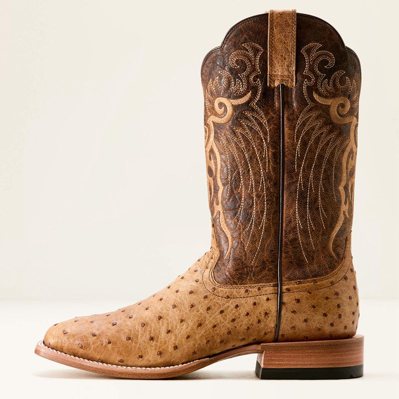 Ariat Rio Cowboy Boot Honey Tan Full Quill Ostrich/Chestnut Br Polska | PMKQCH-165