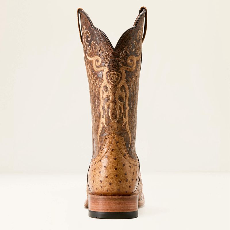 Ariat Rio Cowboy Boot Honey Tan Full Quill Ostrich/Chestnut Br Polska | PMKQCH-165