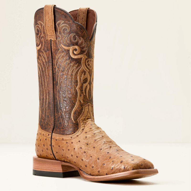 Ariat Rio Cowboy Boot Honey Tan Full Quill Ostrich/Chestnut Br Polska | PMKQCH-165