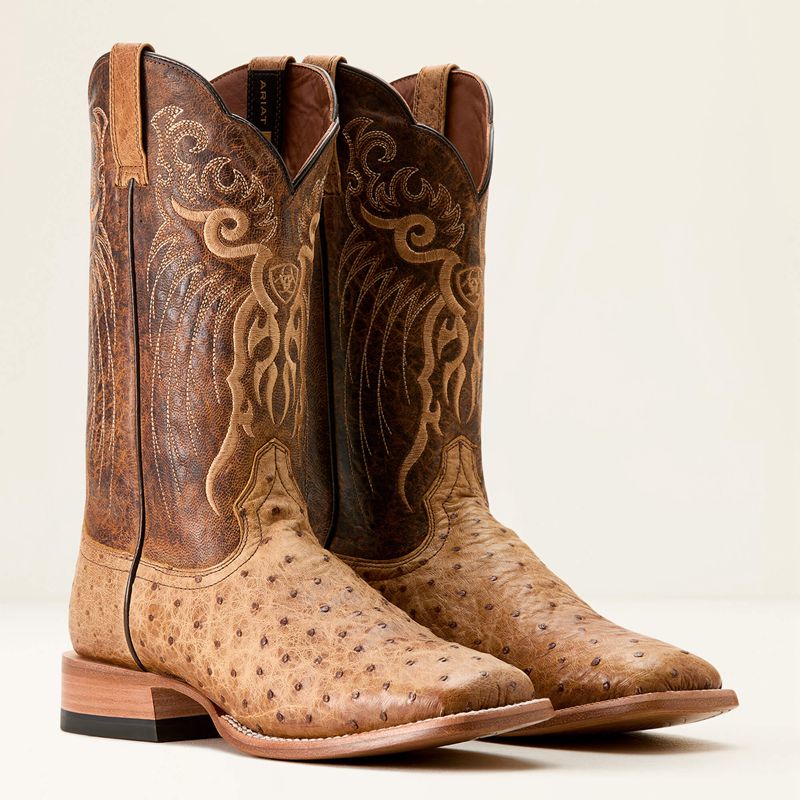 Ariat Rio Cowboy Boot Honey Tan Full Quill Ostrich/Chestnut Br Polska | PMKQCH-165