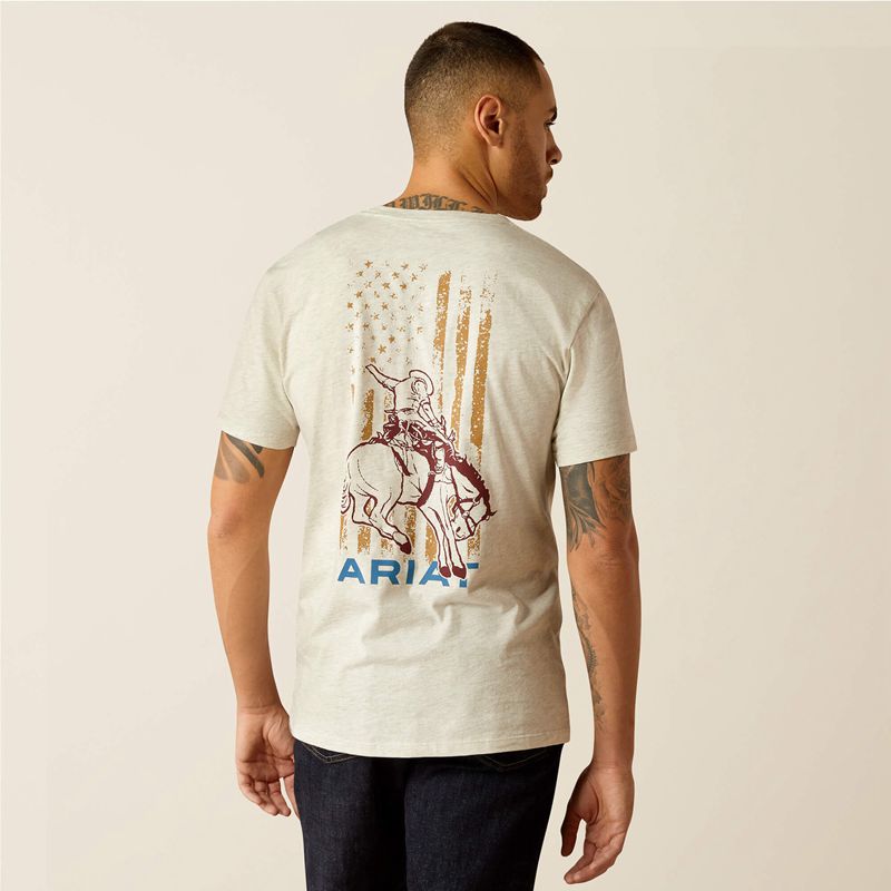 Ariat Rodeo Proud T-Shirt Oatmeal Heather Polska | VJGTZL-632