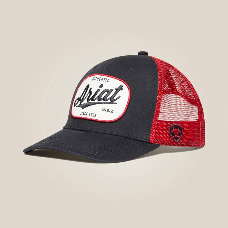 Ariat Round Patch Cap Szare Polska | PNKBMX-763