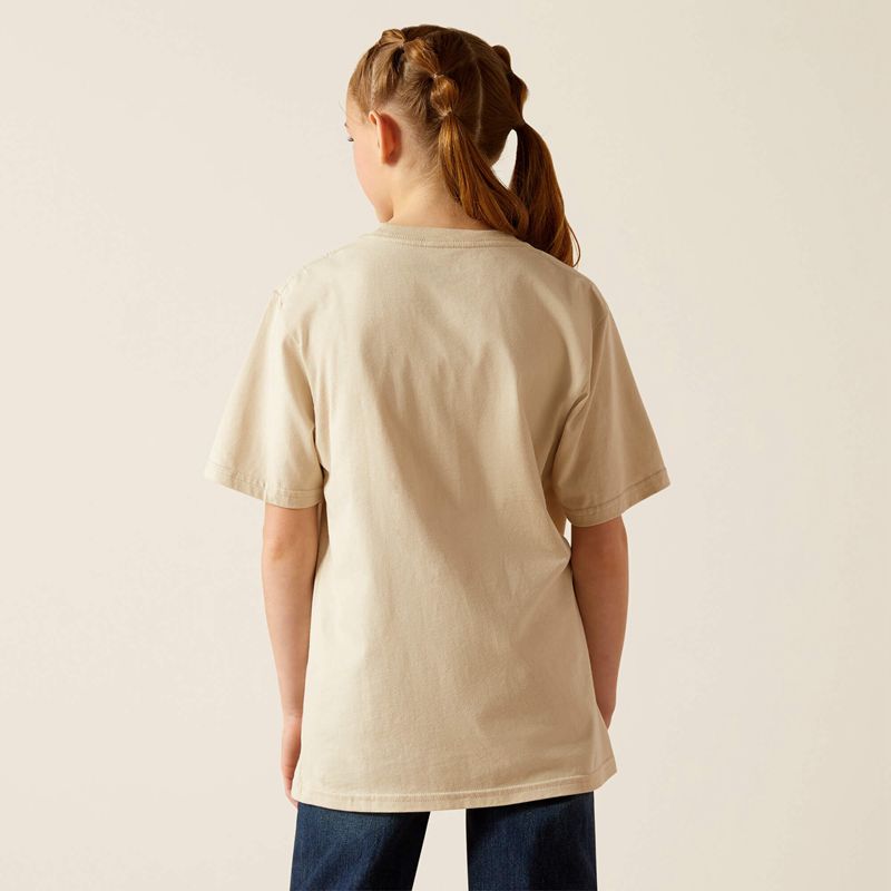 Ariat Saguro Modern T-Shirt Natural Polska | PEDRNB-450