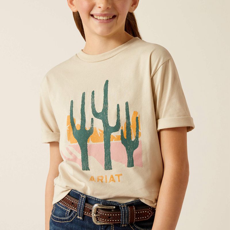 Ariat Saguro Modern T-Shirt Natural Polska | PEDRNB-450