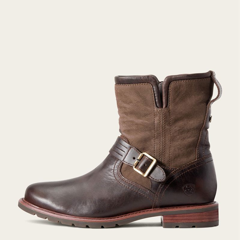 Ariat Savannah Waterproof Boot Chocolate/Willow Polska | CYKTBQ-369