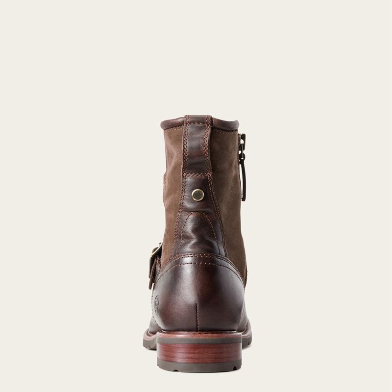 Ariat Savannah Waterproof Boot Chocolate/Willow Polska | CYKTBQ-369