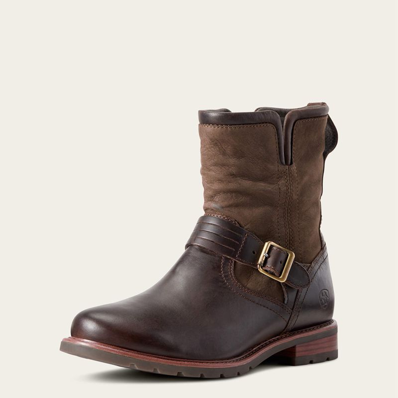 Ariat Savannah Waterproof Boot Chocolate/Willow Polska | CYKTBQ-369