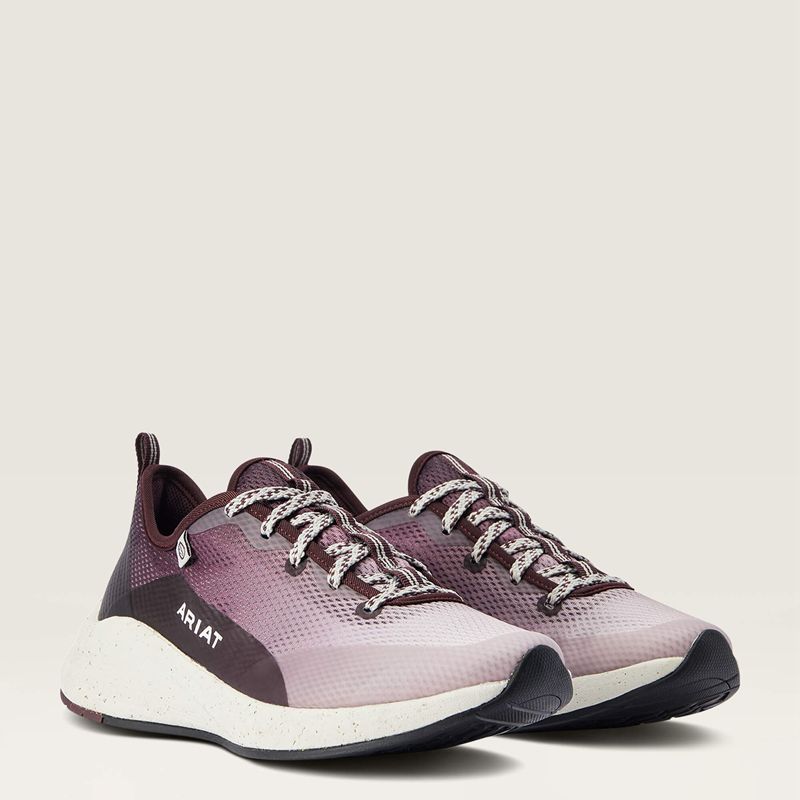 Ariat Shiftrunner Winetasting Polska | INSPGA-583