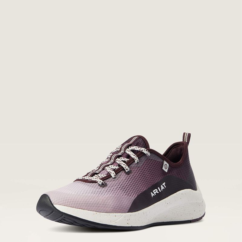 Ariat Shiftrunner Winetasting Polska | INSPGA-583