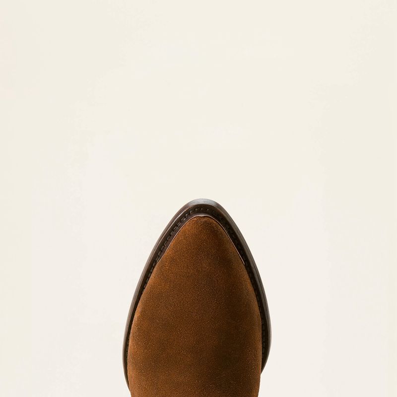 Ariat Shiloh Bootie Ciemny Polska | BGUYHE-184