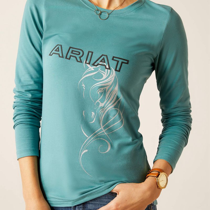 Ariat Silhouette T-Shirt Arctic Polska | CQAUGN-380