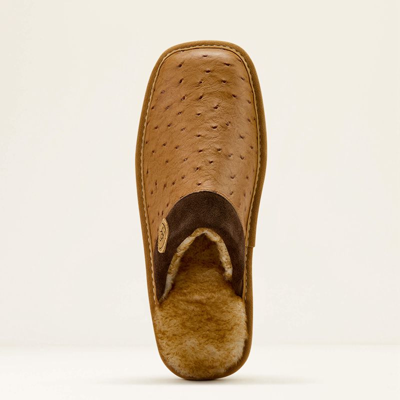 Ariat Silversmith Square Toe Exotic Slipper Brązowe Polska | RCXJIF-516