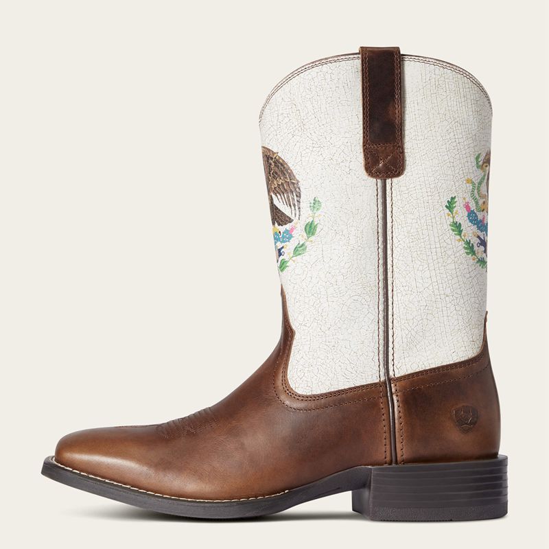 Ariat Sport Orgullo Mexicano Western Boot Czekolada Polska | HZLWEU-156