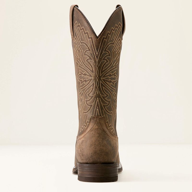 Ariat Sting Cowboy Boot Ciemny Polska | EMOQHG-571