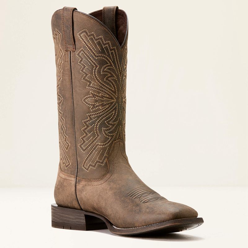 Ariat Sting Cowboy Boot Ciemny Polska | EMOQHG-571