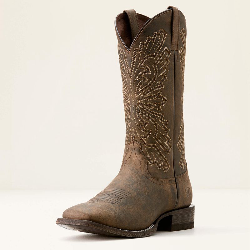 Ariat Sting Cowboy Boot Ciemny Polska | EMOQHG-571