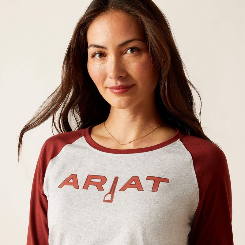 Ariat Stirrup Leather I T-Shirt Heather Grey/Fired Brick Polska | UAMFDJ-739