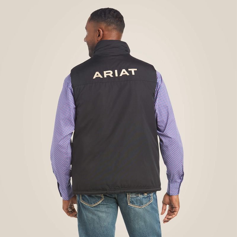 Ariat Team Logo Insulated Vest Czarne Polska | BKRDCZ-765