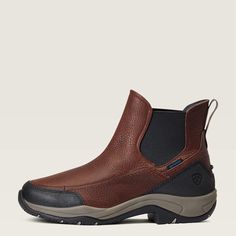 Ariat Terrain Blaze Waterproof Boot Ciemny Brązowe Polska | SVUQWC-810