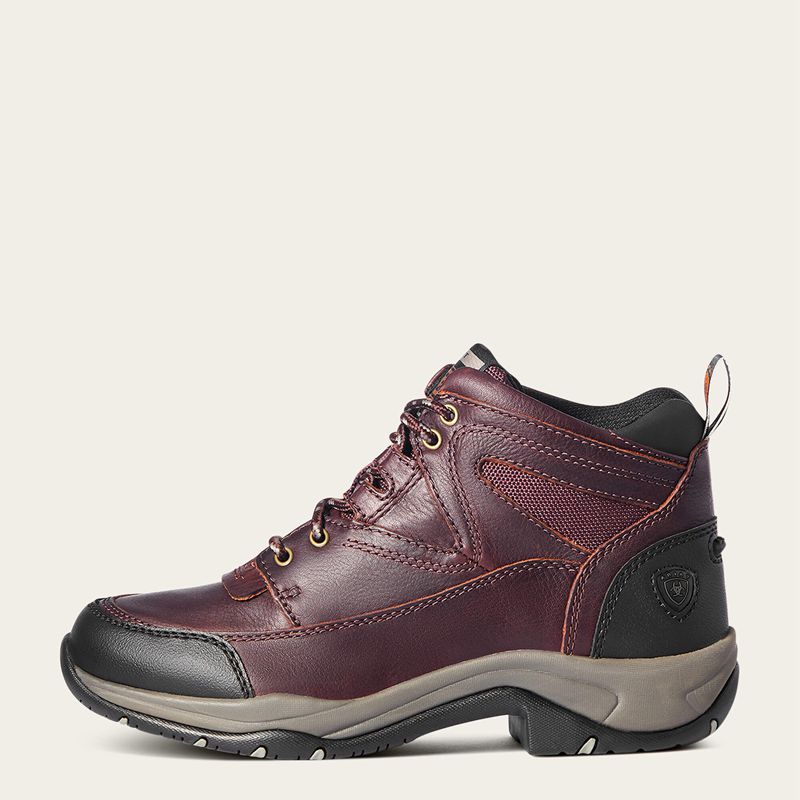 Ariat Terrain Boot Cordovan Polska | FYUACX-104