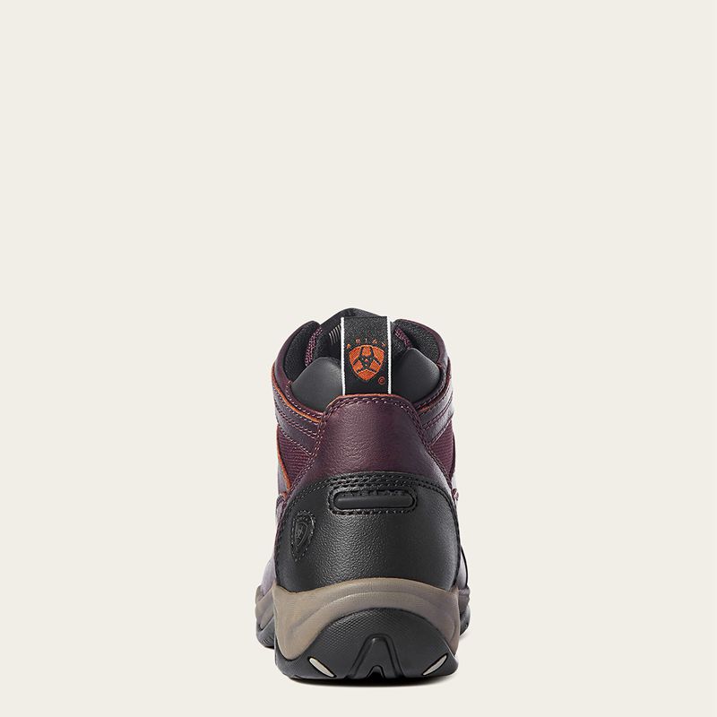 Ariat Terrain Boot Cordovan Polska | FYUACX-104