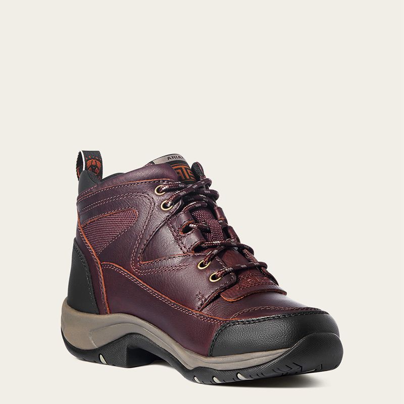 Ariat Terrain Boot Cordovan Polska | FYUACX-104