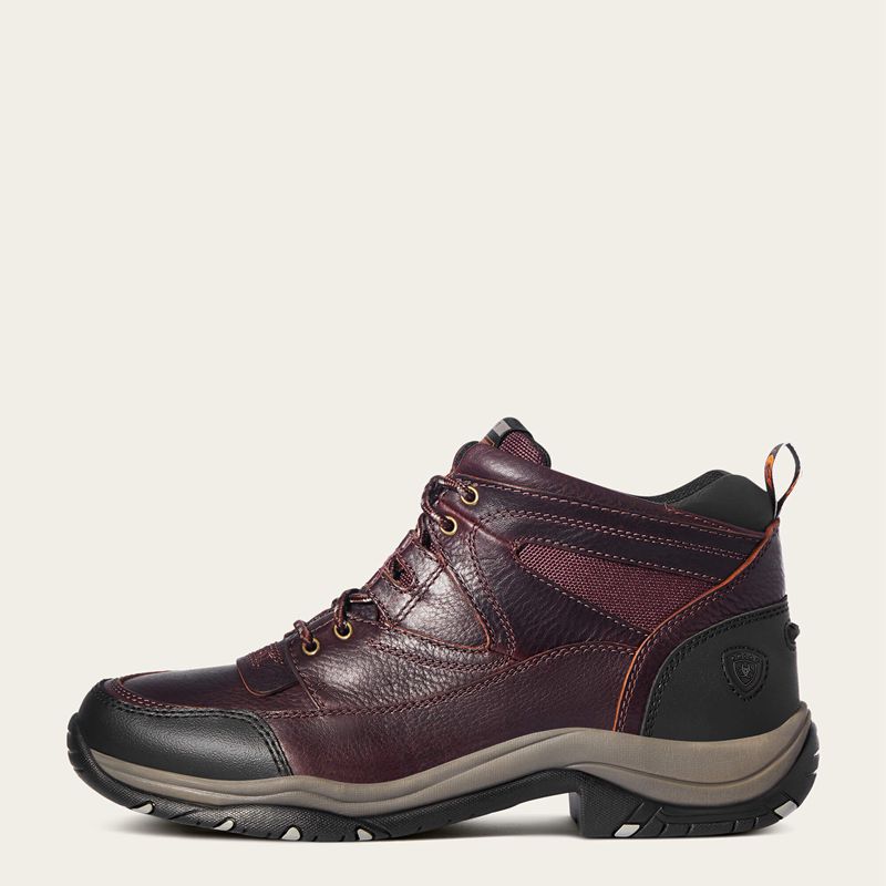 Ariat Terrain Cordovan Polska | WPDIGS-807