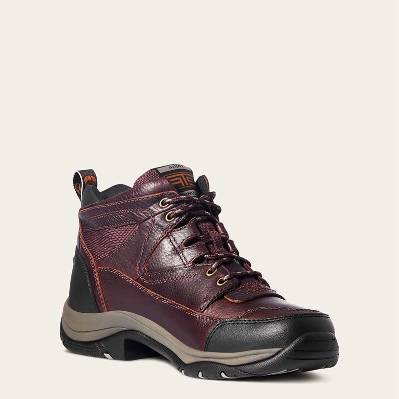 Ariat Terrain Cordovan Polska | WPDIGS-807