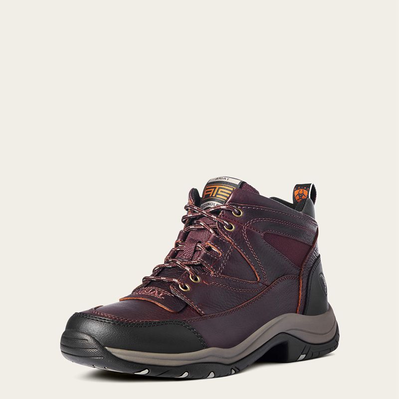 Ariat Terrain Cordovan Polska | WPDIGS-807