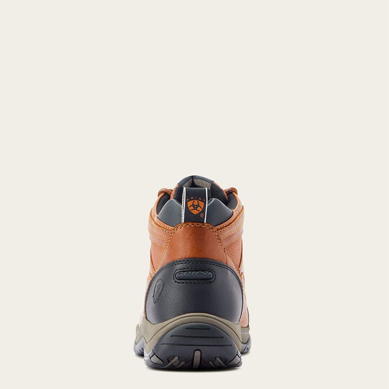 Ariat Terrain Sunshine Polska | XTCFWO-572