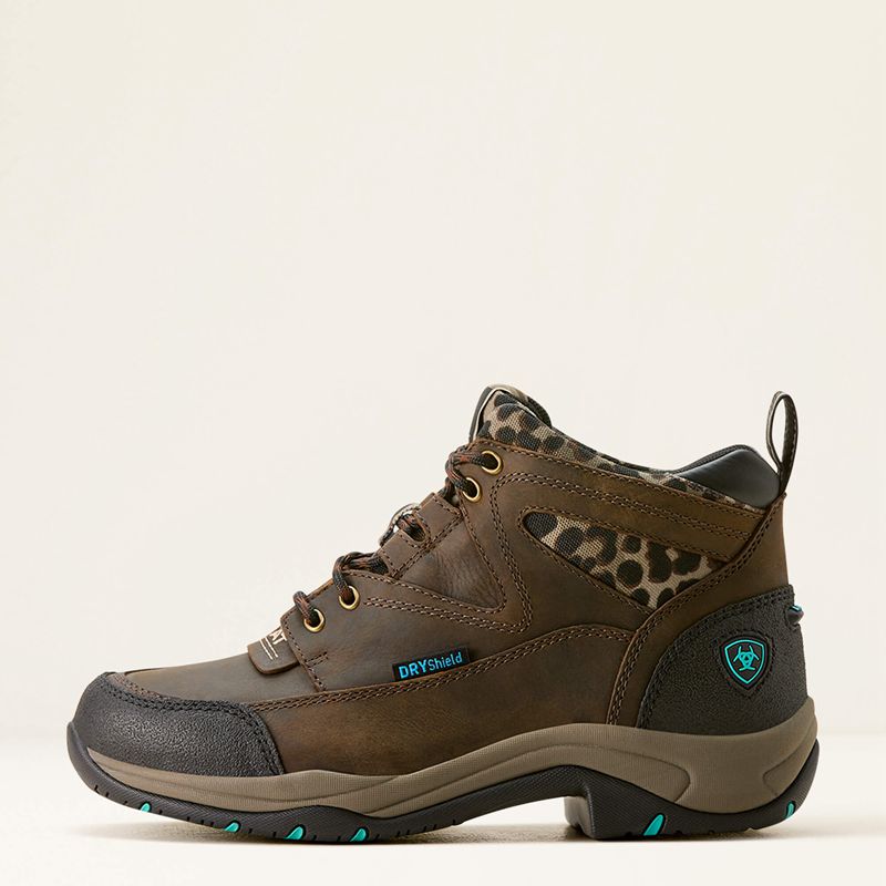 Ariat Terrain Waterproof Boot Panterka Polska | CVIXNZ-605