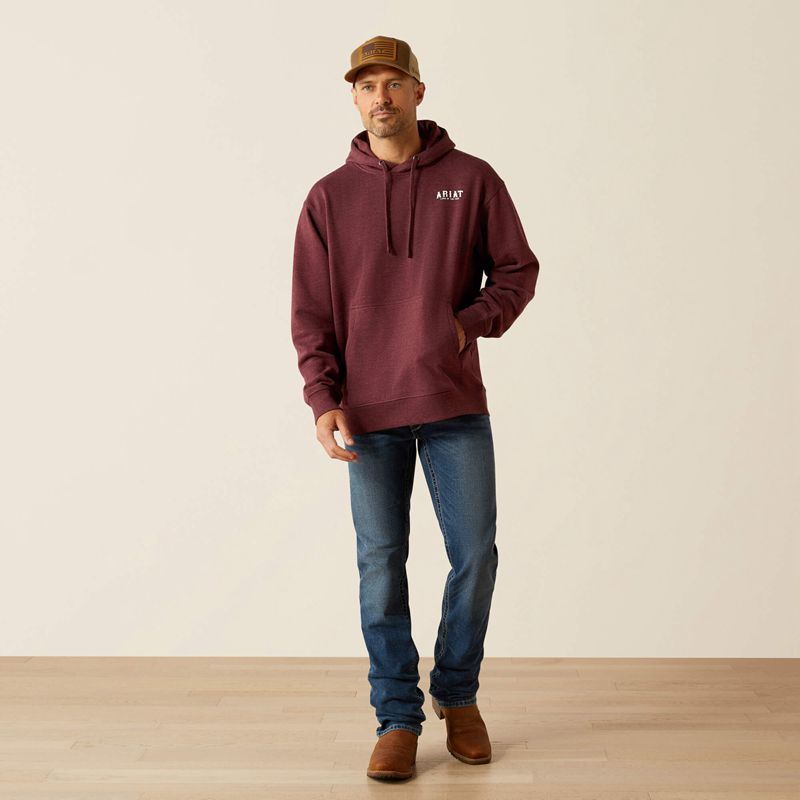 Ariat Western Vertical Flag Hoodie Berry Bark Heather Polska | GQSWVZ-806