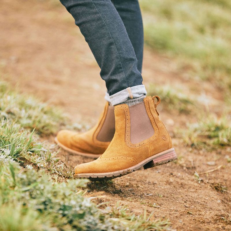 Ariat Wexford Brogue Waterproof Chelsea Boot Weathered Honey Polska | FROUBQ-041