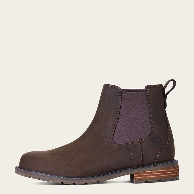 Ariat Wexford Waterproof Chelsea Boot Java Polska | MKWJXF-829