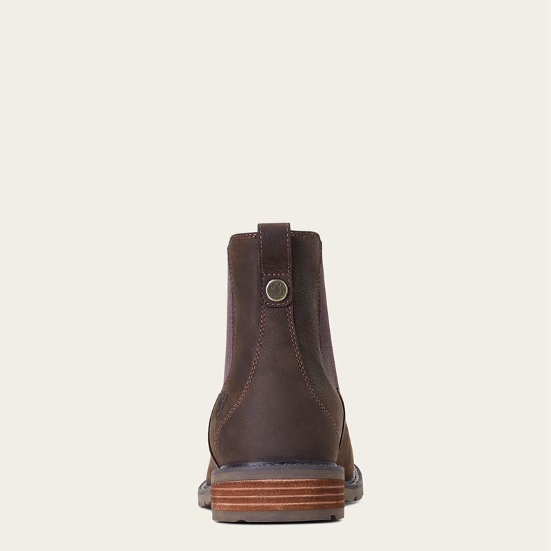 Ariat Wexford Waterproof Chelsea Boot Java Polska | MKWJXF-829