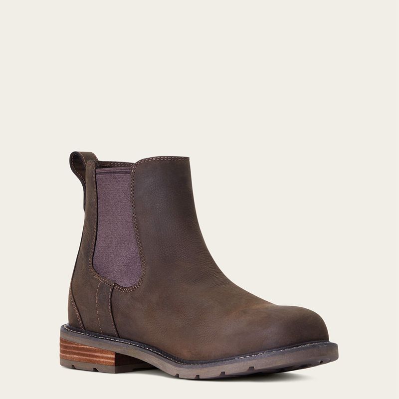 Ariat Wexford Waterproof Chelsea Boot Java Polska | MKWJXF-829