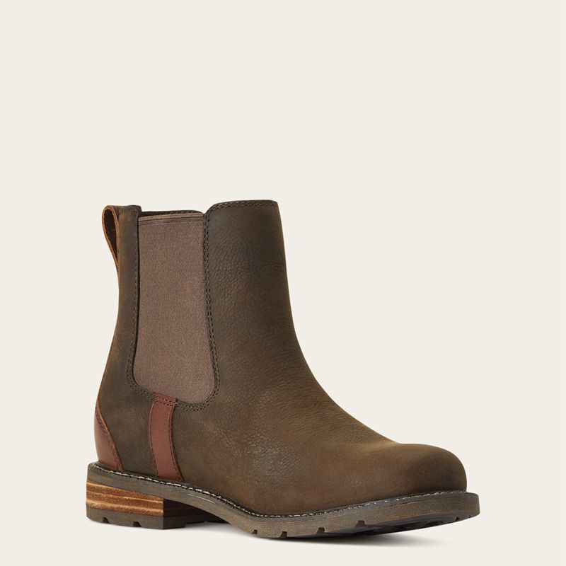 Ariat Wexford Waterproof Chelsea Boot Java Polska | VDFEBL-178