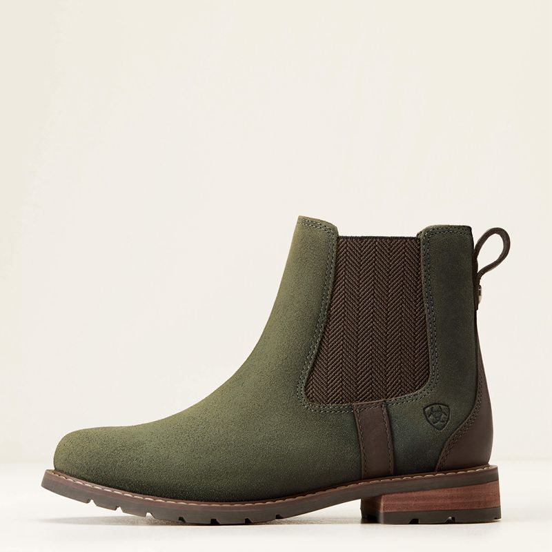 Ariat Wexford Waterproof Chelsea Boot Oliwkowe Polska | JVIRQE-034