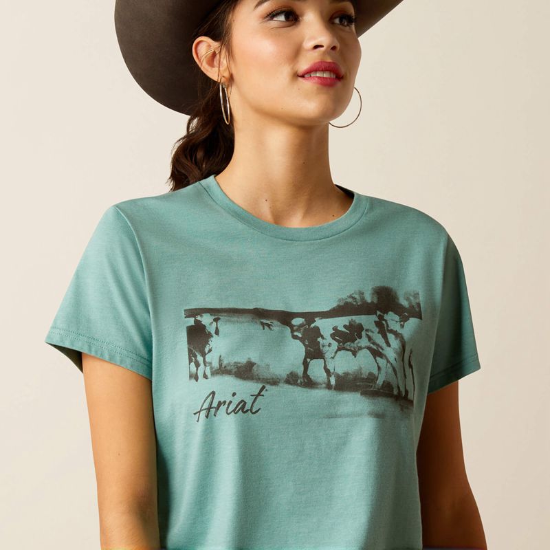 Ariat Wholesome Heffers T-Shirt Niebieskie Polska | MGIBQU-964